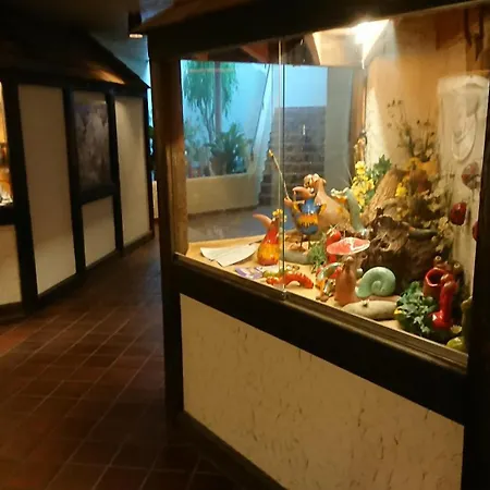 Forest View Apartmán