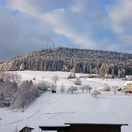 Forest View Baiersbronn