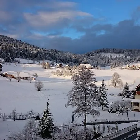 Forest View Apartmán