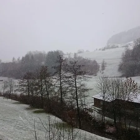 Forest View Apartmán