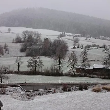 Forest View Apartmán