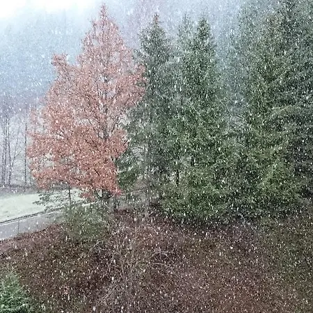 Apartmán Forest View Baiersbronn