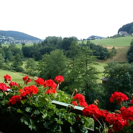 Forest View Apartmán *