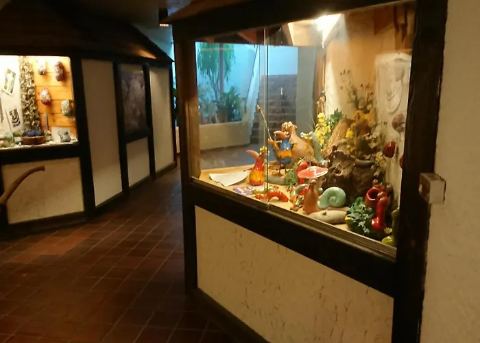 Forest View Appartement