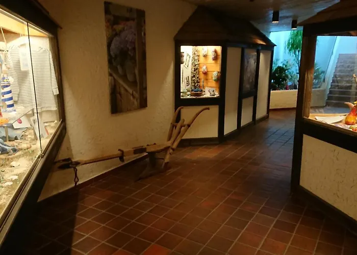 Forest View Baiersbronn