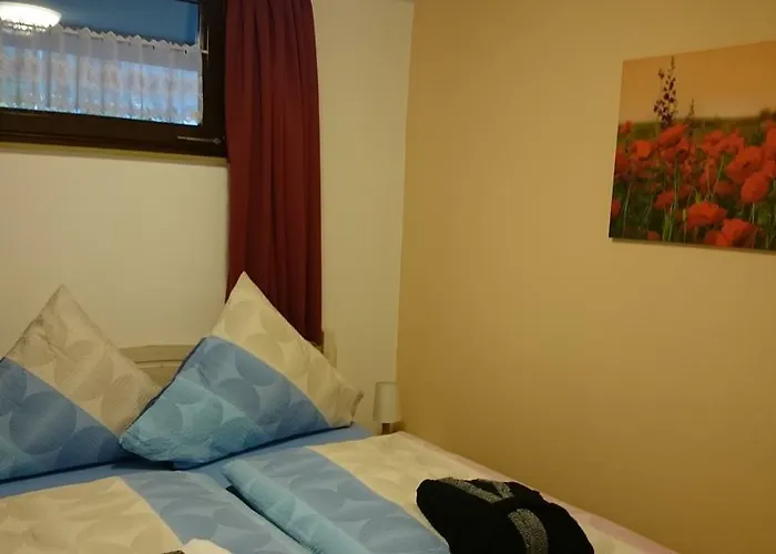 Forest View Appartement