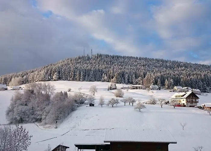 Forest View Baiersbronn