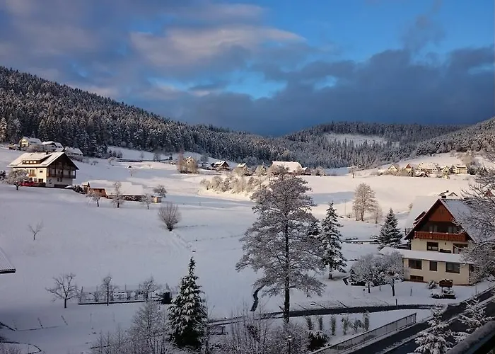 Forest View Appartement