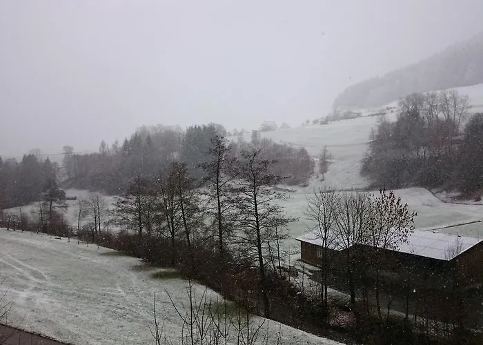 Forest View Appartement