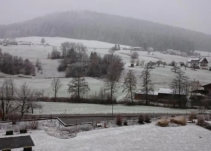 Forest View Appartement