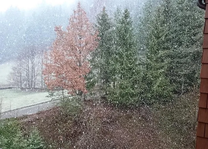 Appartement Forest View Baiersbronn