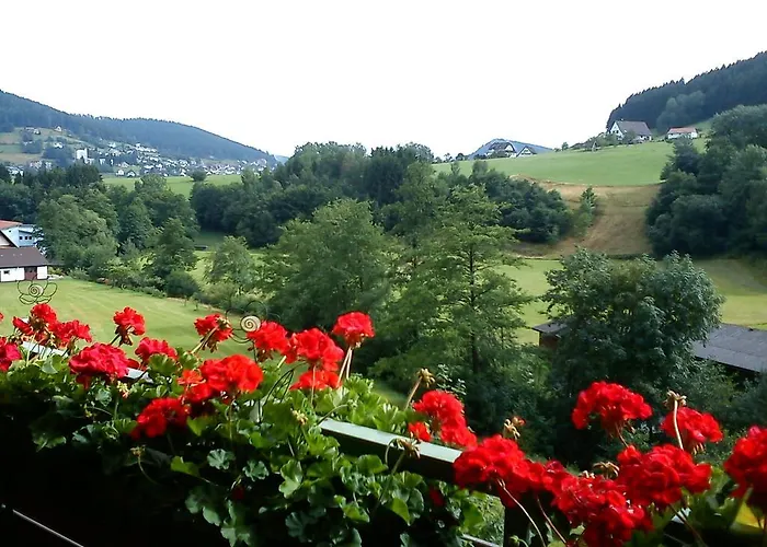 Forest View Appartement *